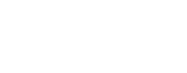 2logo white