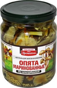 опята маринованные